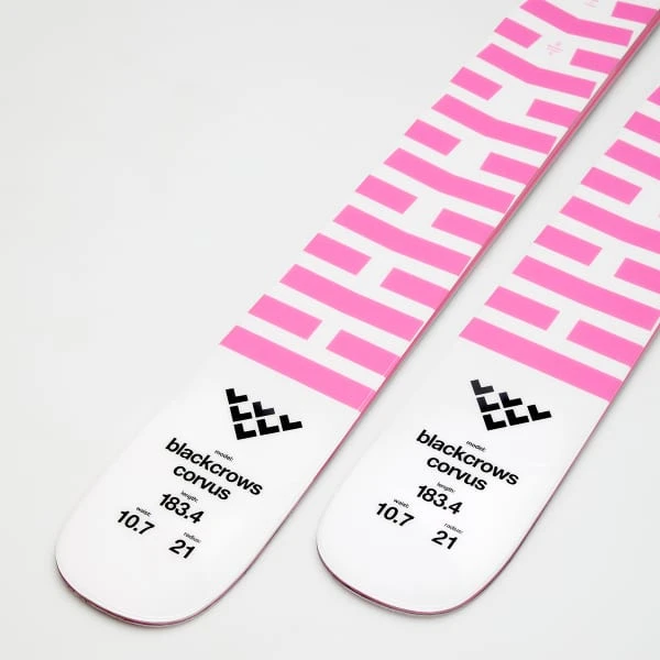 BLACK CROWS CORVUS + TYROLIA ATTACK 11 GW W/O BRAKE A 5 BLACK CROWS CORVUS + TYROLIA ATTACK 11 GW W/O BRAKE A - Image 5